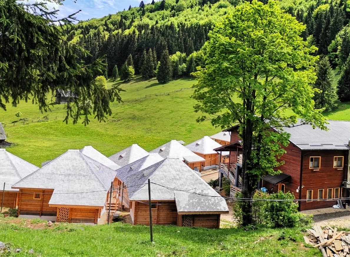 https://www.travlocals.com/uploads/0009/9041/2025/07/02/499621478-18068489918486696-5858848089745861195-n.webp