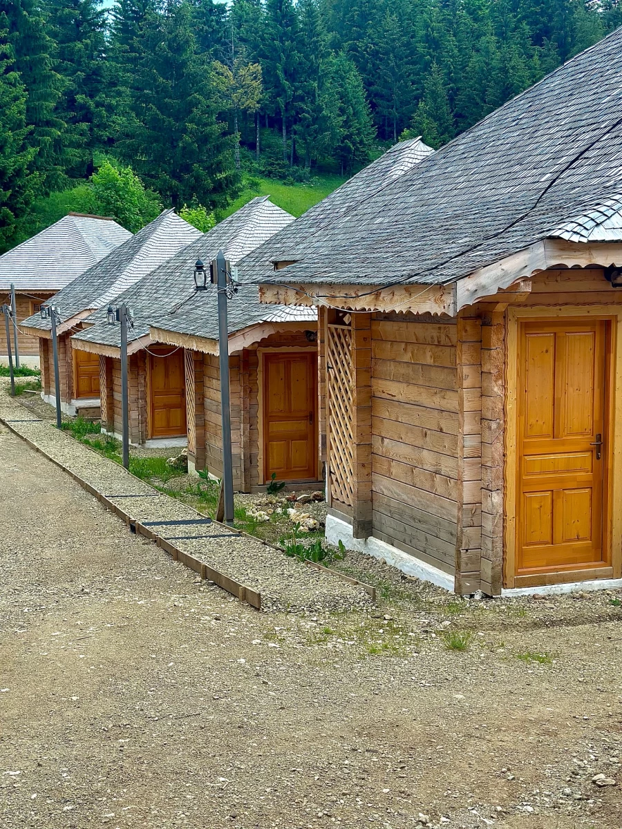 https://www.travlocals.com/uploads/0009/9041/2025/07/02/515056260-18072719072486696-7981060996361129234-n.webp