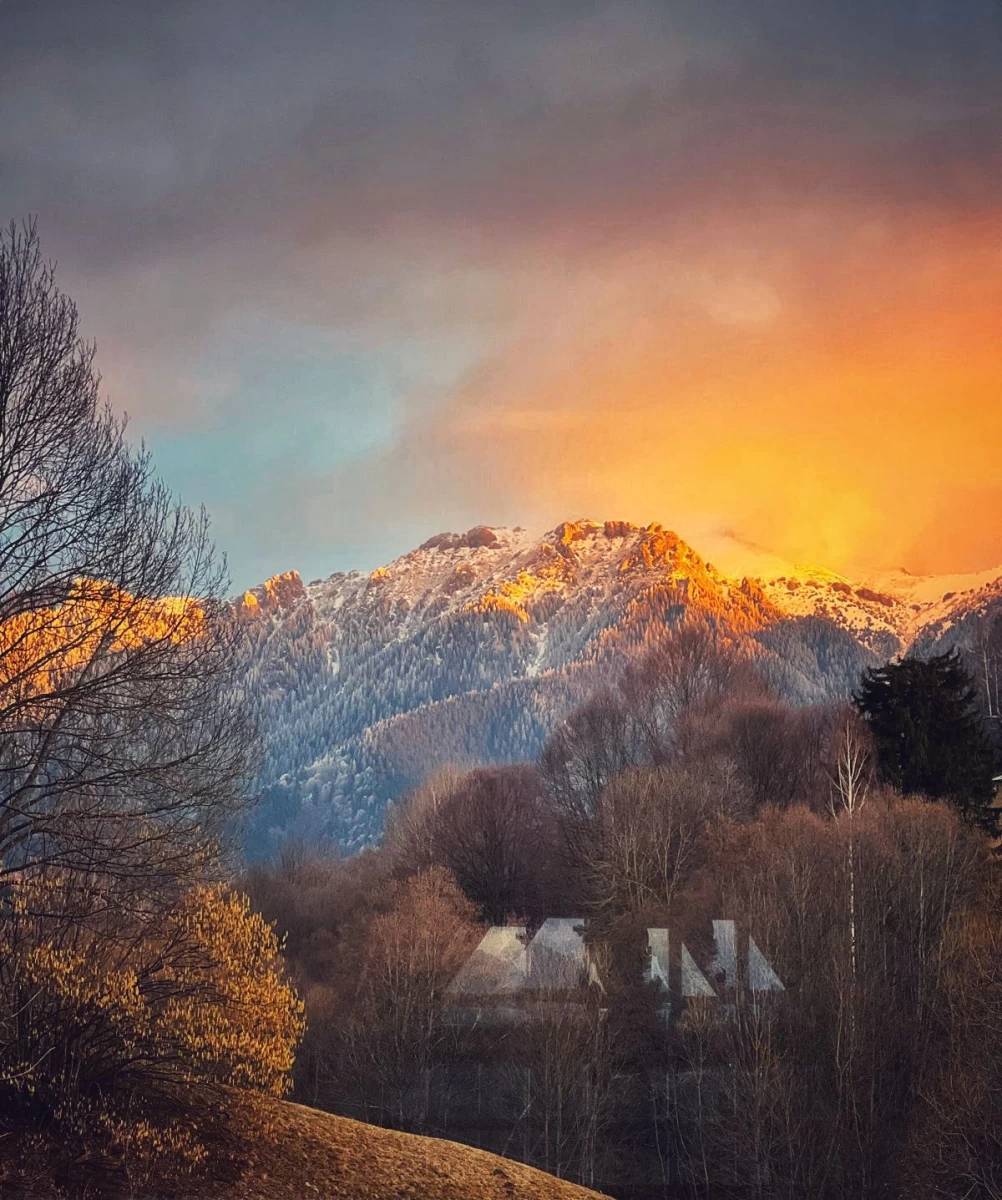 https://www.travlocals.com/uploads/0009/9364/2025/03/01/whatsapp-image-2025-03-01-at-224141.webp