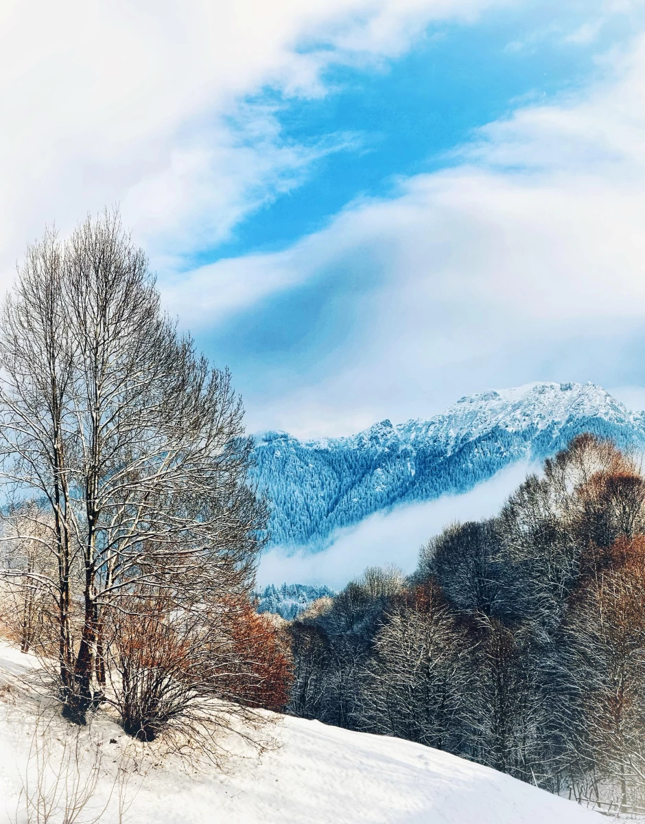 https://www.travlocals.com/uploads/0009/9364/2025/03/01/whatsapp-image-2025-03-01-at-224143-2.webp