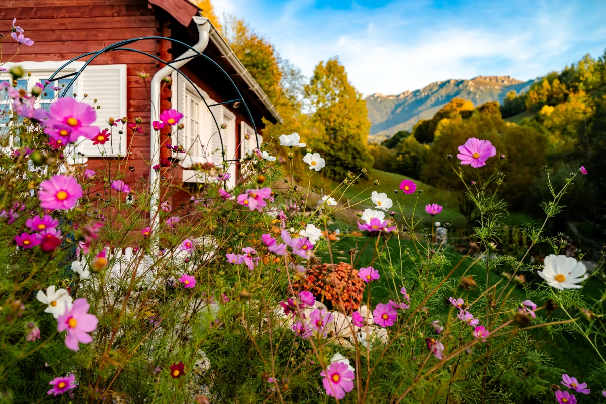 https://www.travlocals.com/uploads/0009/9364/2025/03/04/dsc-0330.webp
