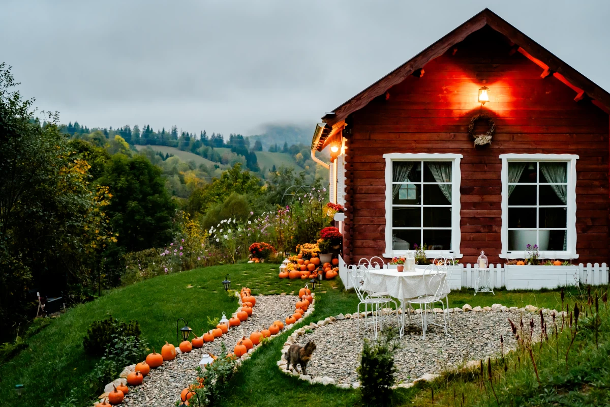 https://www.travlocals.com/uploads/0009/9364/2025/03/04/dsc-1273.webp