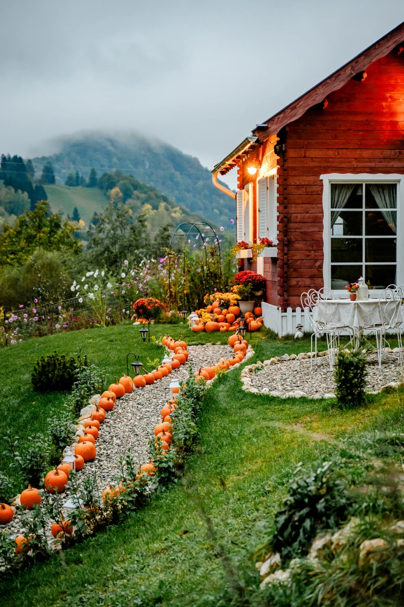 https://www.travlocals.com/uploads/0009/9364/2025/03/04/dsc-1274.webp