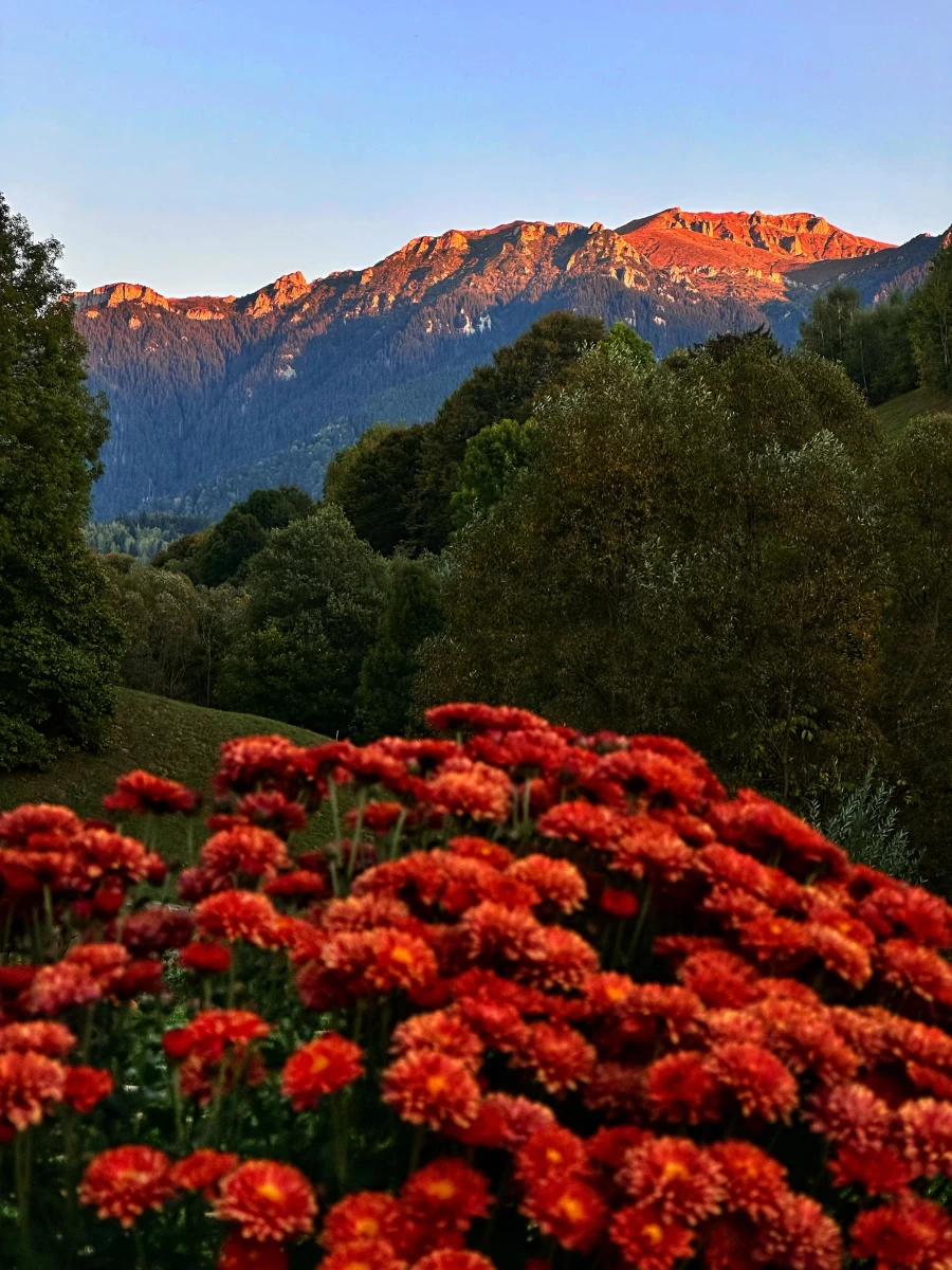 https://www.travlocals.com/uploads/0009/9364/2025/03/04/whatsapp-image-2025-03-04-at-001815-1.webp