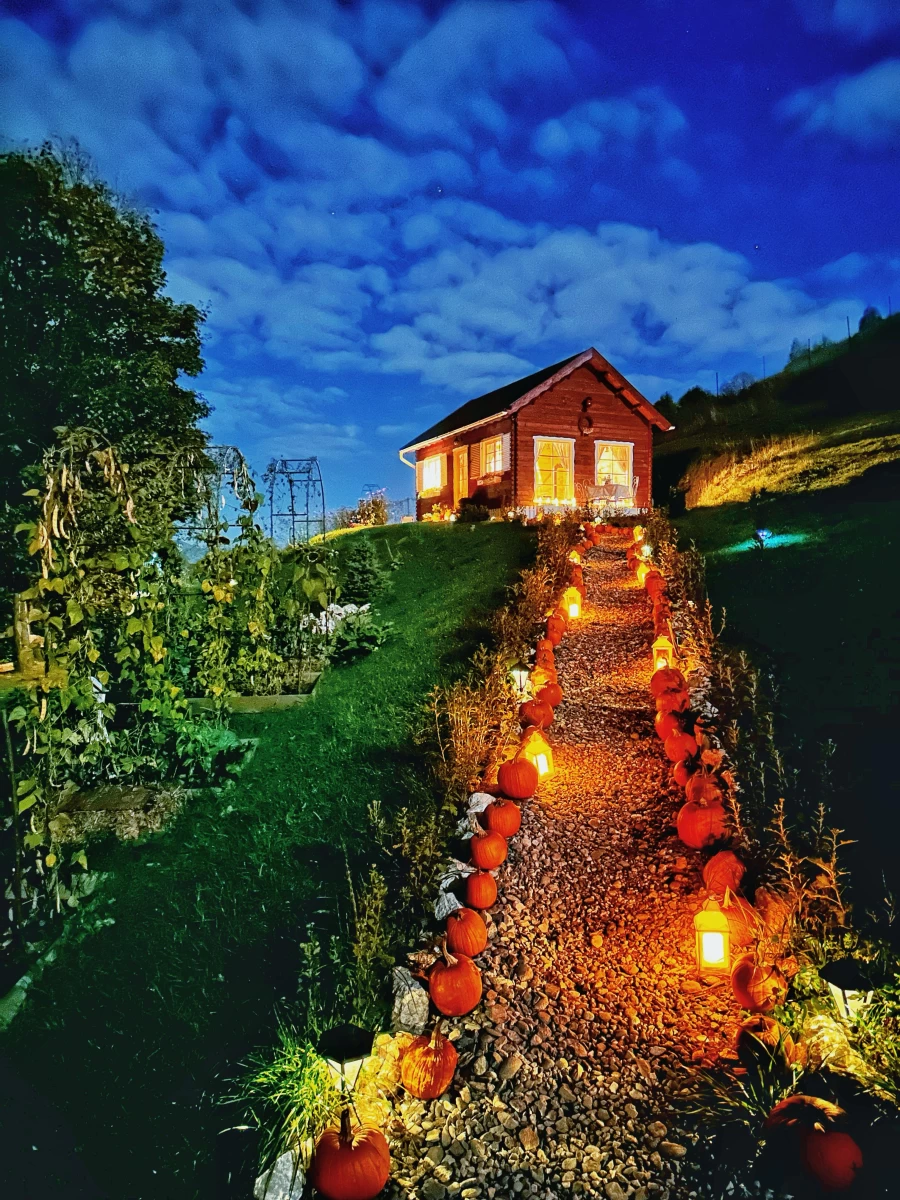 https://www.travlocals.com/uploads/0009/9364/2025/03/04/whatsapp-image-2025-03-04-at-001815-3.webp