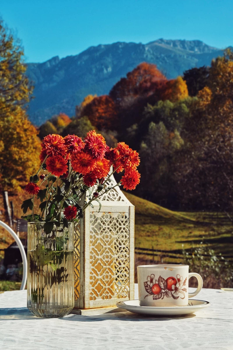 https://www.travlocals.com/uploads/0009/9364/2025/03/04/whatsapp-image-2025-03-04-at-001816.webp