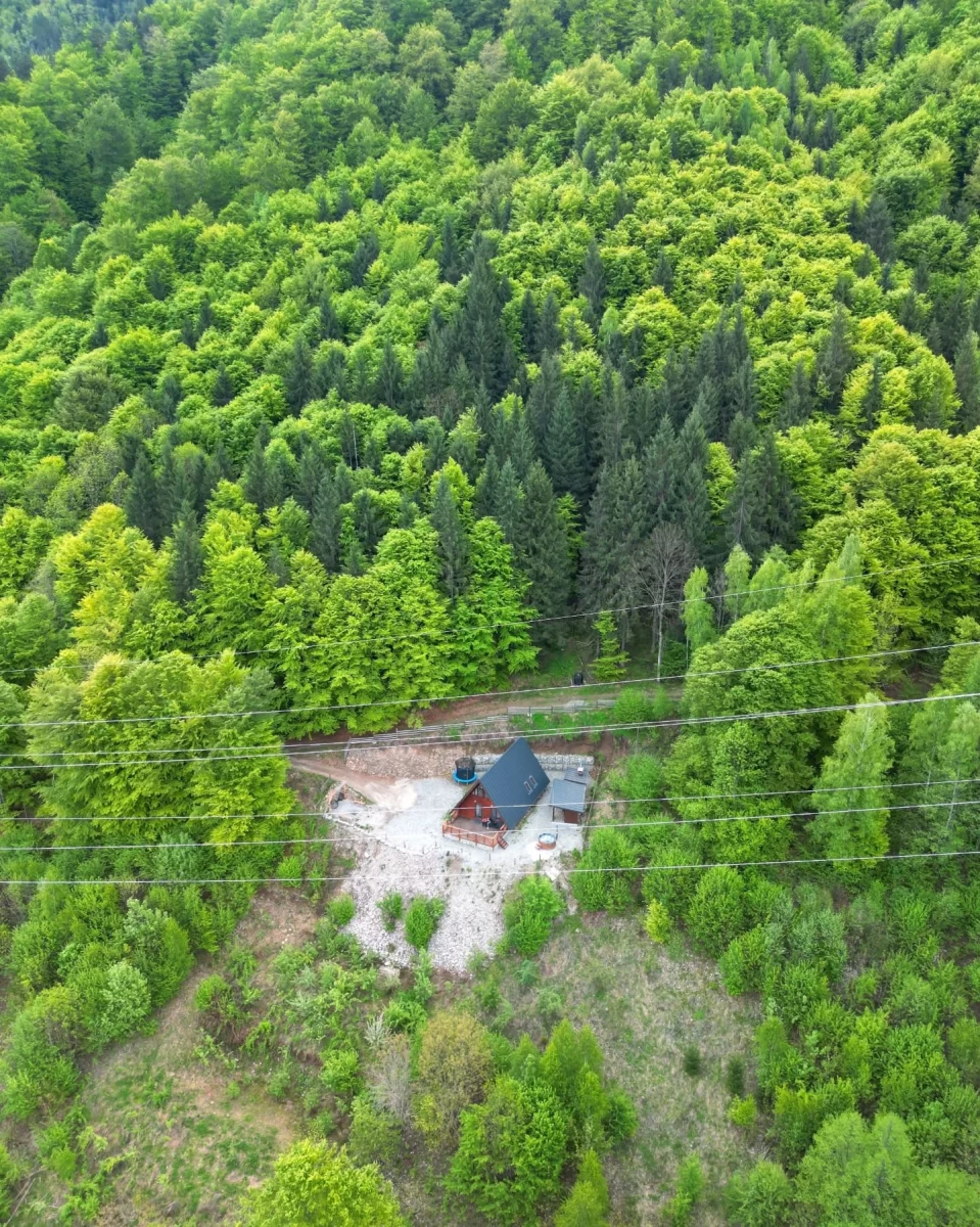 https://www.travlocals.com/uploads/0009/9451/2025/06/16/503519112-17950051505987407-3390303015402685176-n.webp