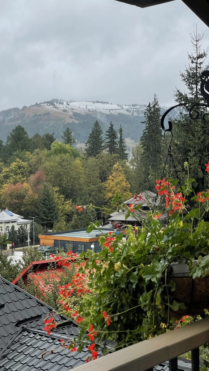 https://www.travlocals.com/uploads/0009/9653/2025/03/18/img-8004.webp