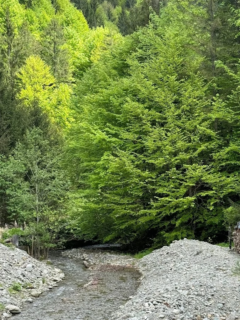 https://www.travlocals.com/uploads/0009/9658/2024/10/10/2024-05-10-6.webp