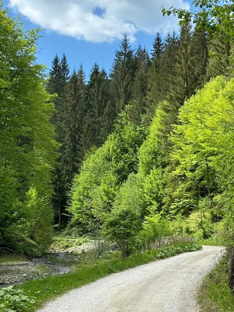 https://www.travlocals.com/uploads/0009/9658/2024/10/10/2024-05-10.webp