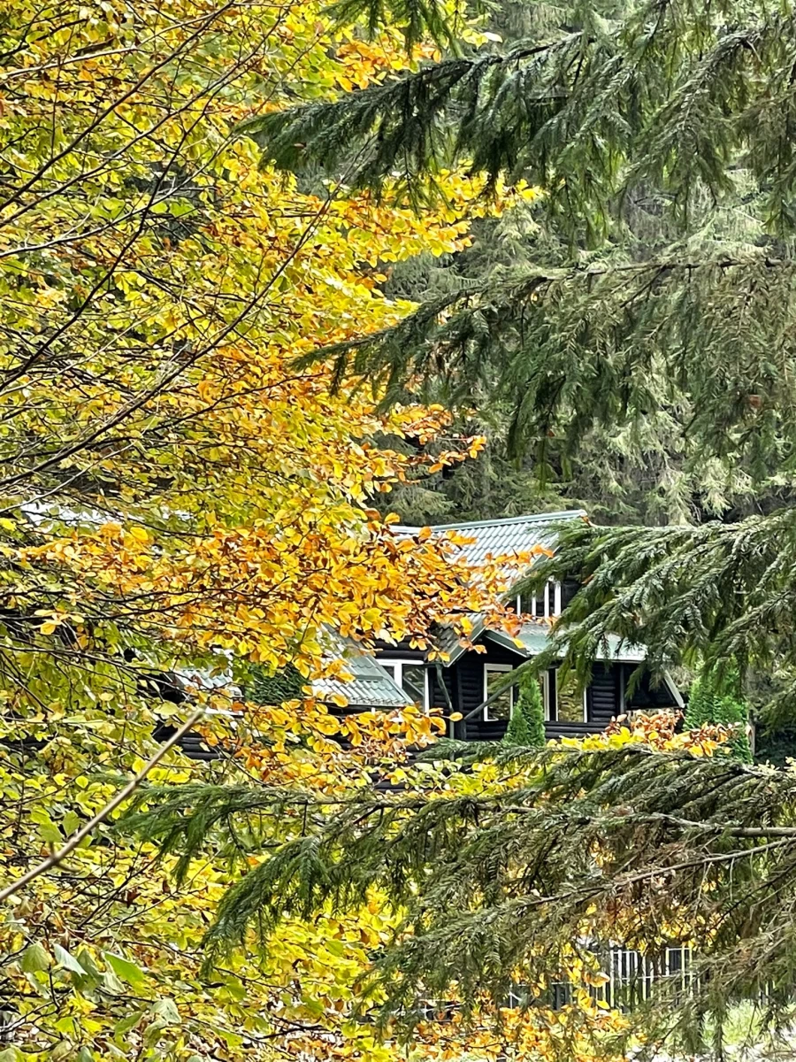 https://www.travlocals.com/uploads/0009/9658/2024/10/10/photo-2023-10-17-15-01-08-4.webp