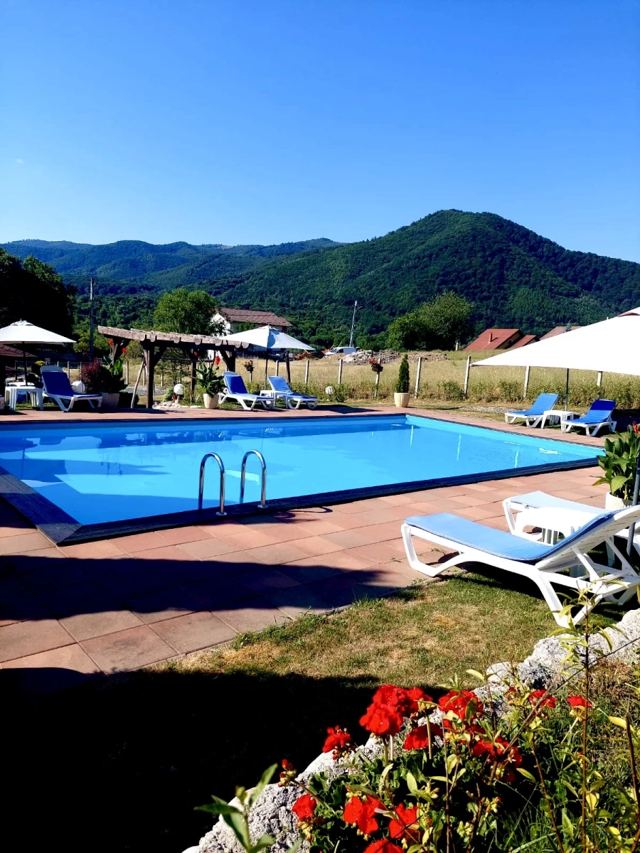 https://www.travlocals.com/uploads/0009/9670/2025/07/03/b58242db-d311-43c8-9f77-3c2e0f15dbaf.webp