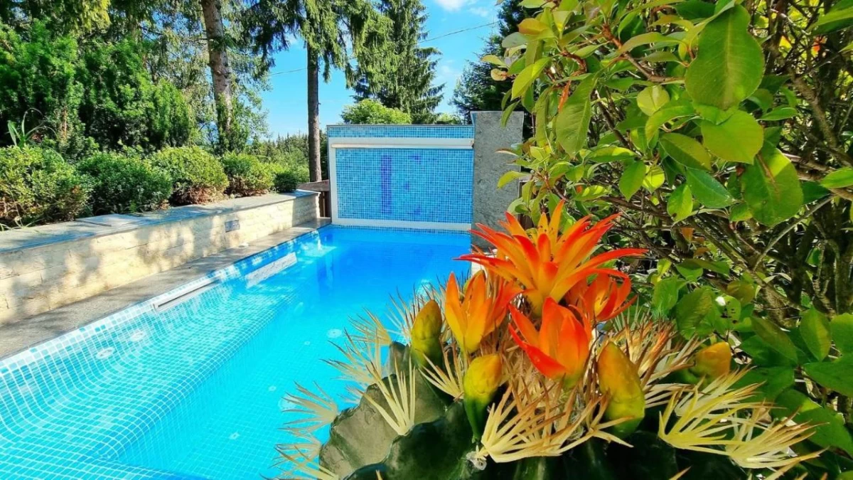 https://www.travlocals.com/uploads/0009/9841/2025/01/24/382467893.webp