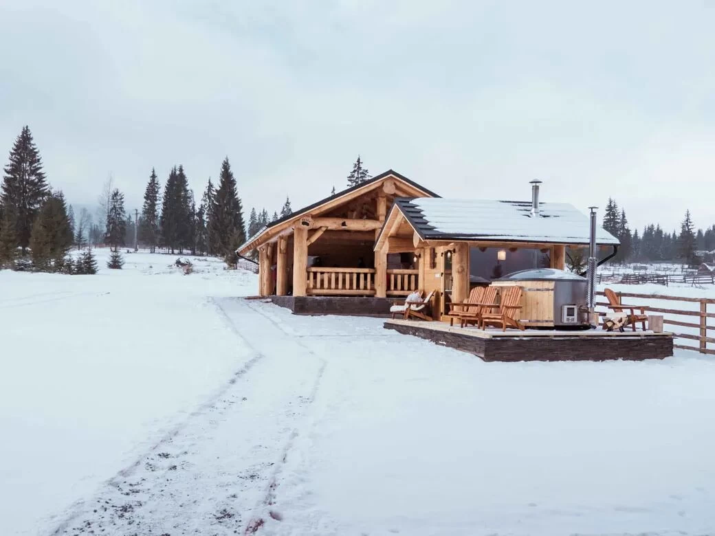 https://www.travlocals.com/uploads/0010/10089/2025/03/28/bilbor-chalet-120-converted.webp