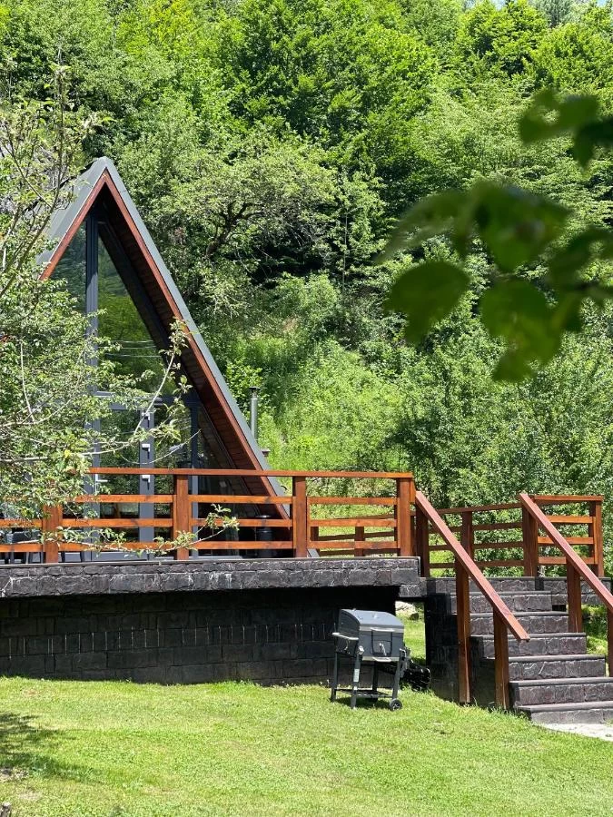 https://www.travlocals.com/uploads/0010/10111/2025/04/08/567922669.webp