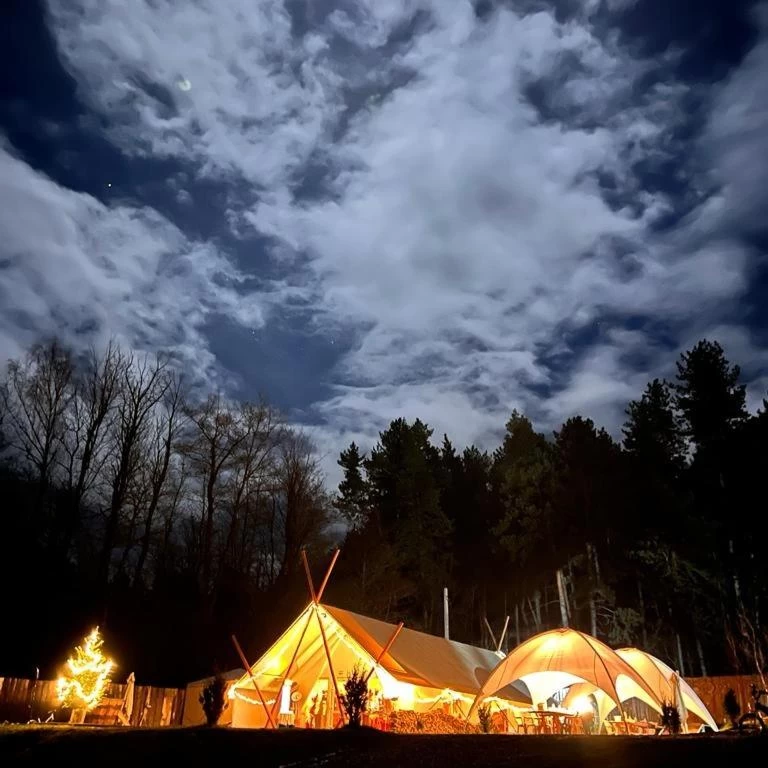 https://www.travlocals.com/uploads/0010/10113/2025/04/10/530757644.webp