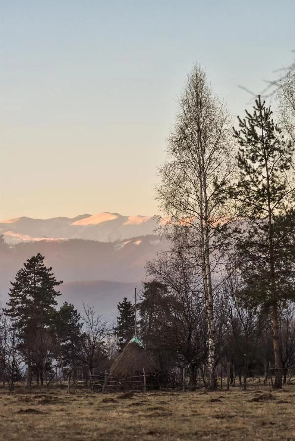https://www.travlocals.com/uploads/0010/10113/2025/04/10/530757685.webp