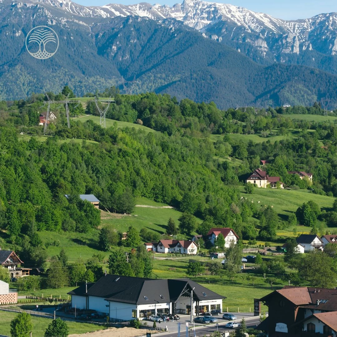 https://www.travlocals.com/uploads/0010/10114/2025/04/10/482242827-969708895306972-8739568796698745548-n.webp