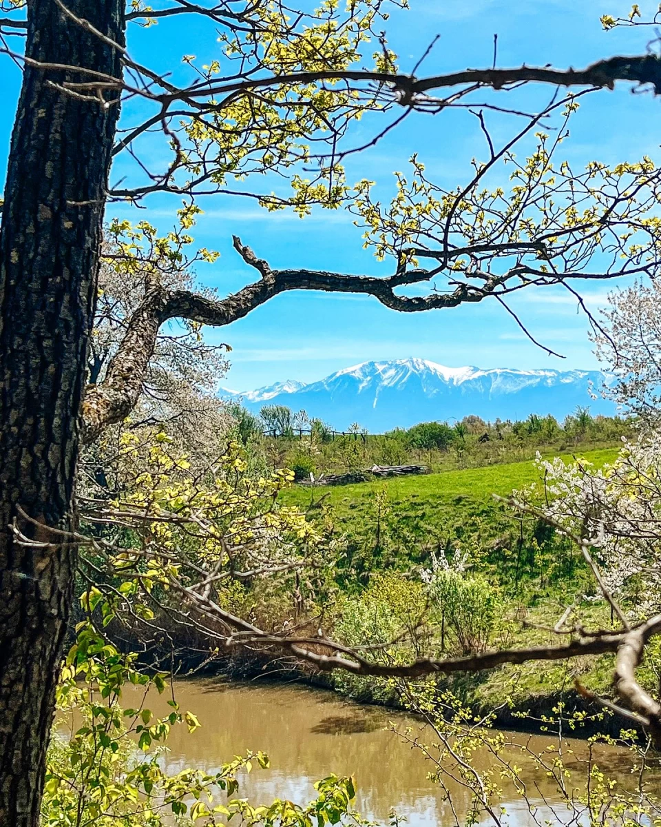 https://www.travlocals.com/uploads/0010/10115/2025/04/12/470193066-18022336634555758-6752619497470223696-n.webp