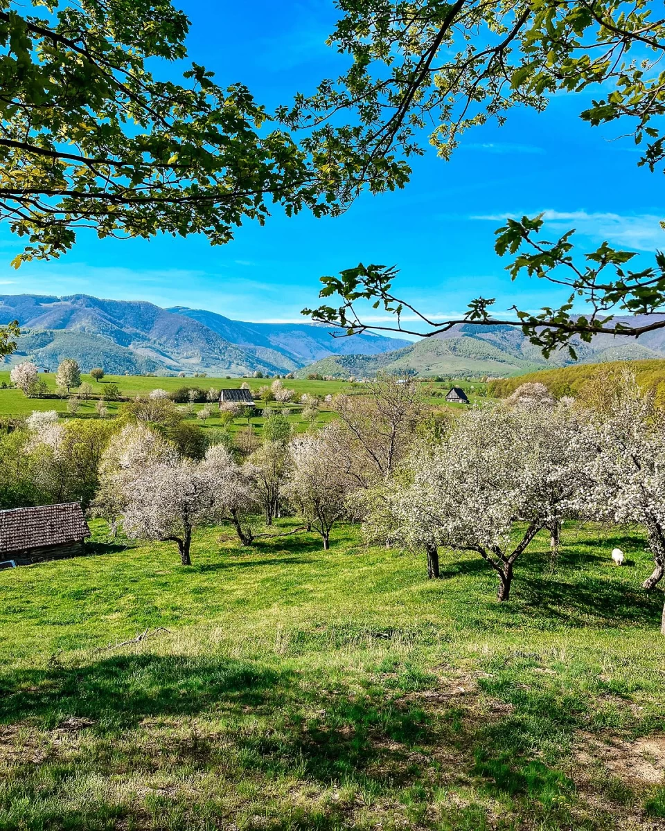 https://www.travlocals.com/uploads/0010/10115/2025/04/12/470196293-18022336703555758-7816926343090072147-n.webp
