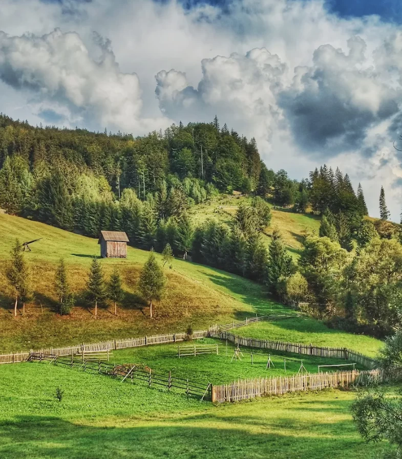 https://www.travlocals.com/uploads/0010/10130/2025/05/19/screenshot-2025-05-19-160846.webp