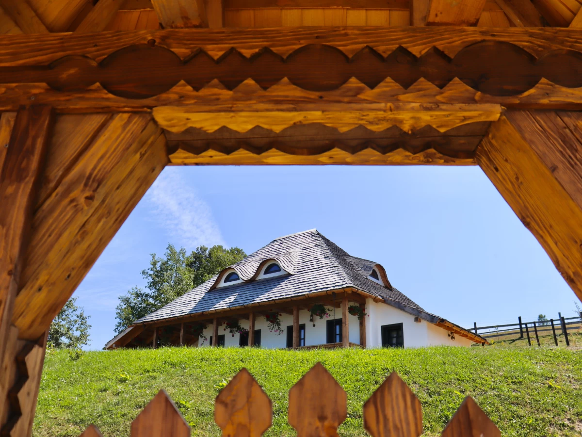 https://www.travlocals.com/uploads/0010/10143/2025/04/26/img-7096.webp