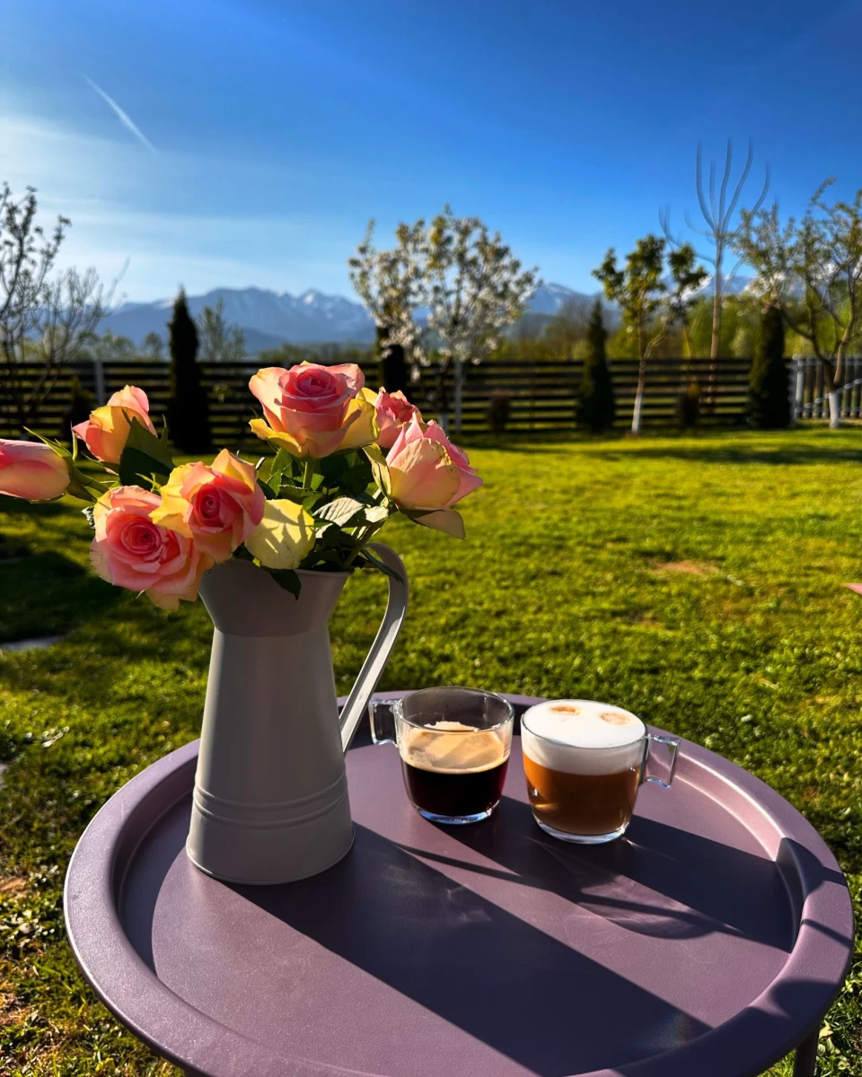 https://www.travlocals.com/uploads/0010/10148/2025/05/07/whatsapp-image-2024-04-16-at-145551-1.webp