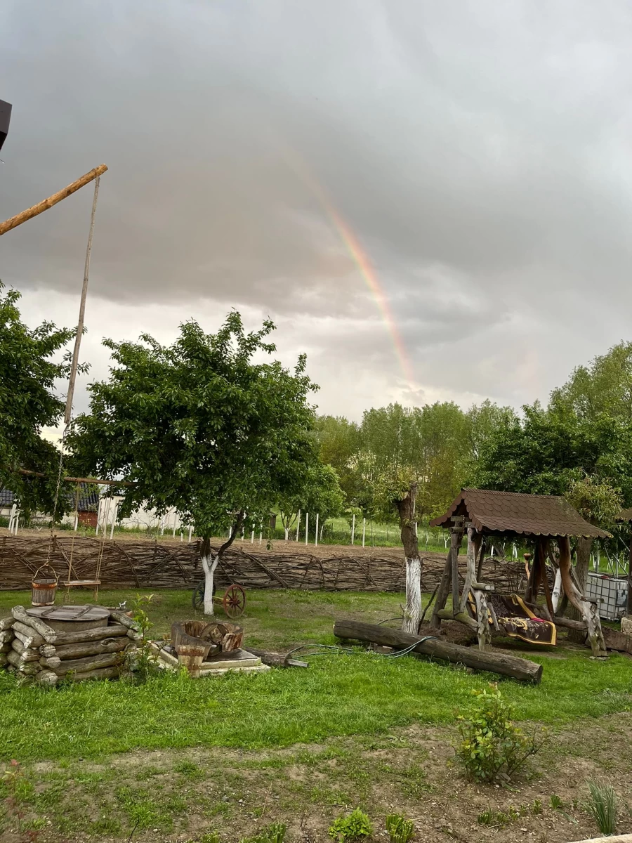 https://www.travlocals.com/uploads/0010/10149/2025/05/21/30cf62a2-9bc5-459f-ba16-162c549d0bd3.webp