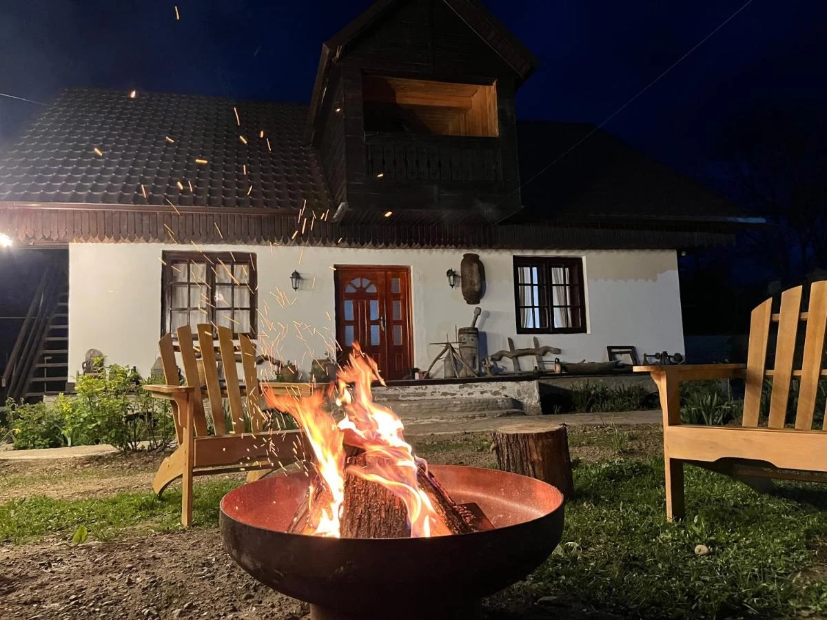 Dor de Rădăcini - Tradition, Tranquility, and Nature in the Village of Nemțișor