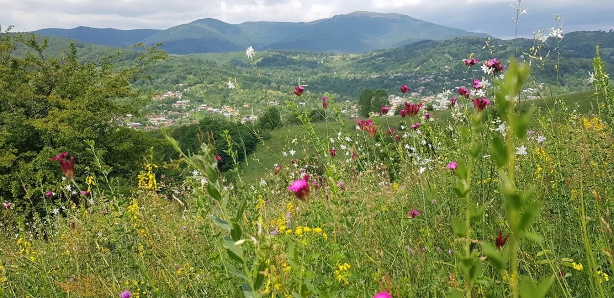 https://www.travlocals.com/uploads/0010/10174/2025/05/06/117534523-489489891912037-1338889006744056307-n.webp