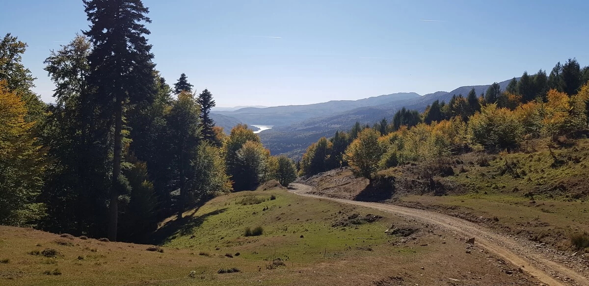 https://www.travlocals.com/uploads/0010/10174/2025/05/06/917822b0-6909-4bf8-a666-13ed863f350b.webp