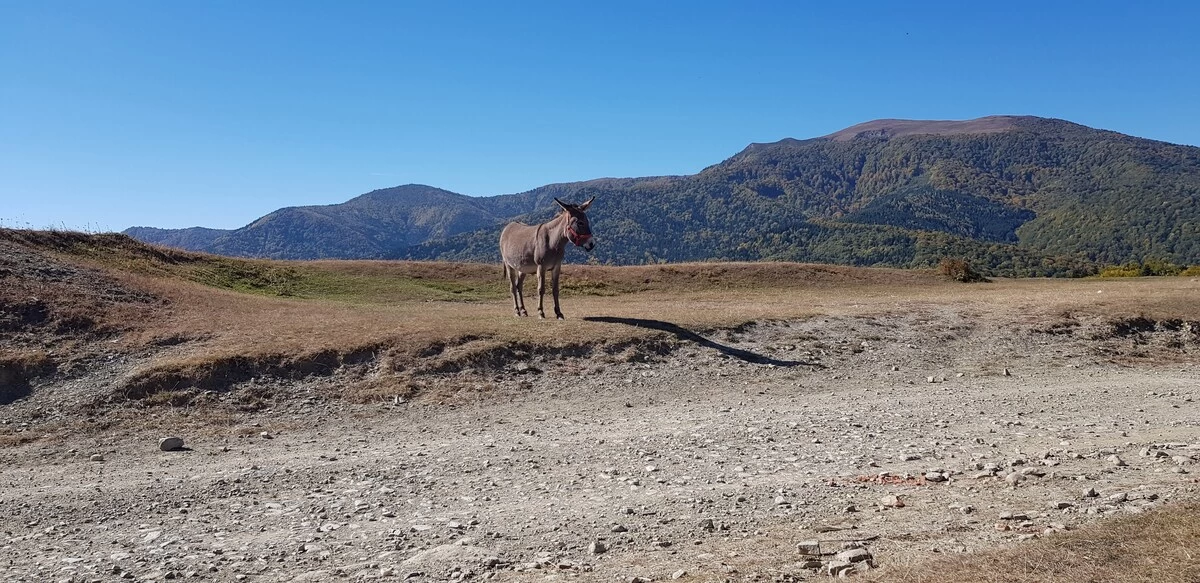 https://www.travlocals.com/uploads/0010/10174/2025/05/06/c4808af7-5e67-4986-a071-059b54048d2f.webp