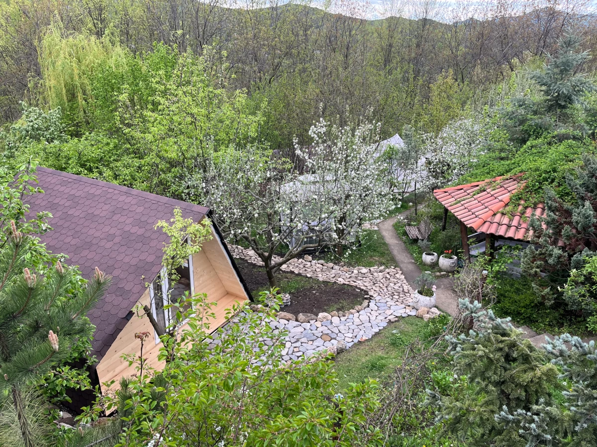https://www.travlocals.com/uploads/0010/10178/2025/05/07/7c0eec61-original.webp