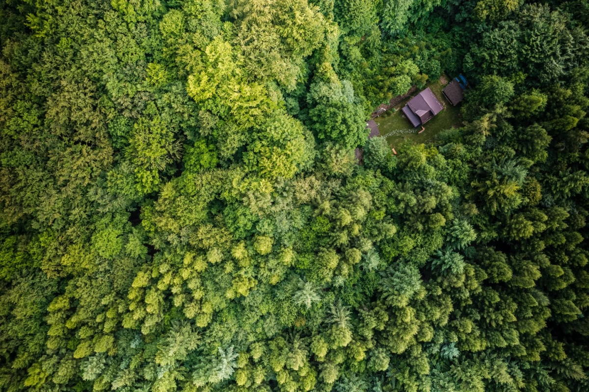 ZADA nature lounge