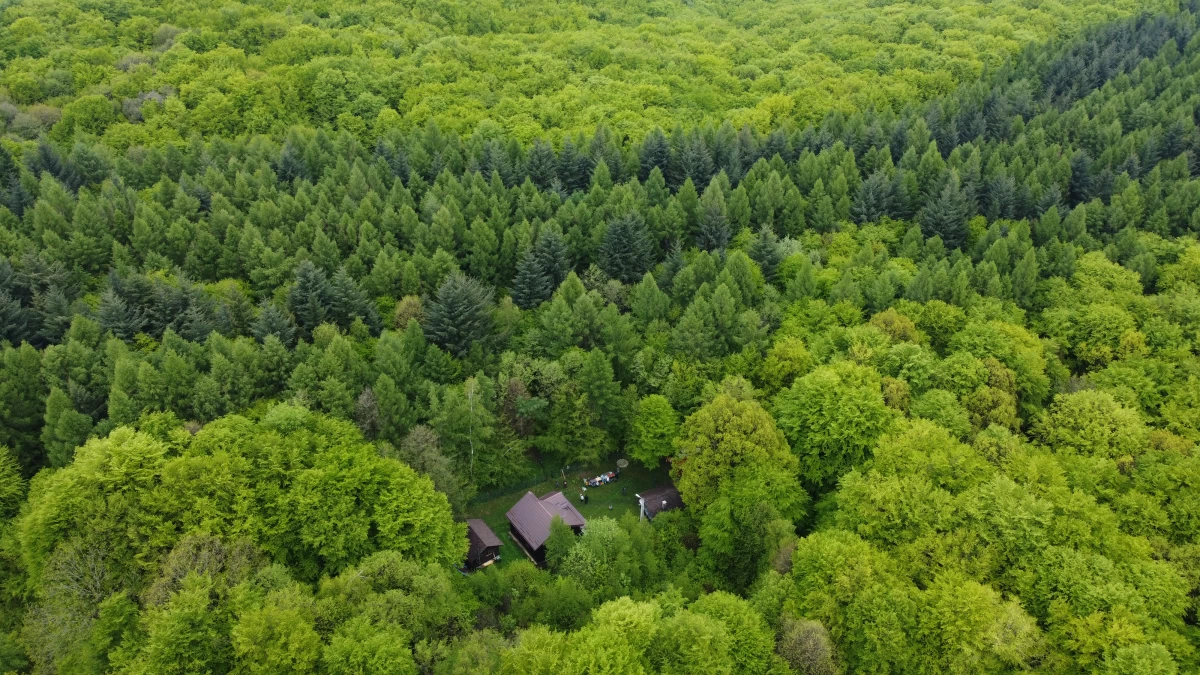 https://www.travlocals.com/uploads/0010/10184/2025/05/23/aa1.webp