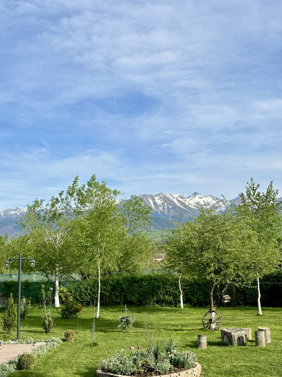 https://www.travlocals.com/uploads/0010/10189/2025/07/25/img-0413.webp