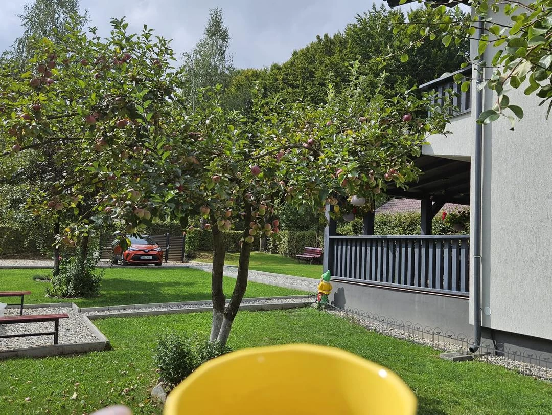 https://www.travlocals.com/uploads/0010/10205/2025/05/23/476826219-614062954703990-7046171571391526497-n.webp