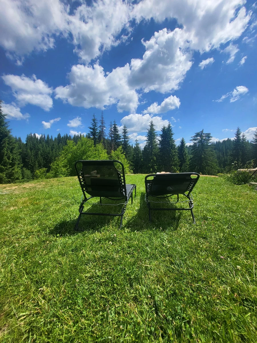 https://www.travlocals.com/uploads/0010/10214/2025/06/25/511142677-122133237380707752-557283184683317601-n.webp
