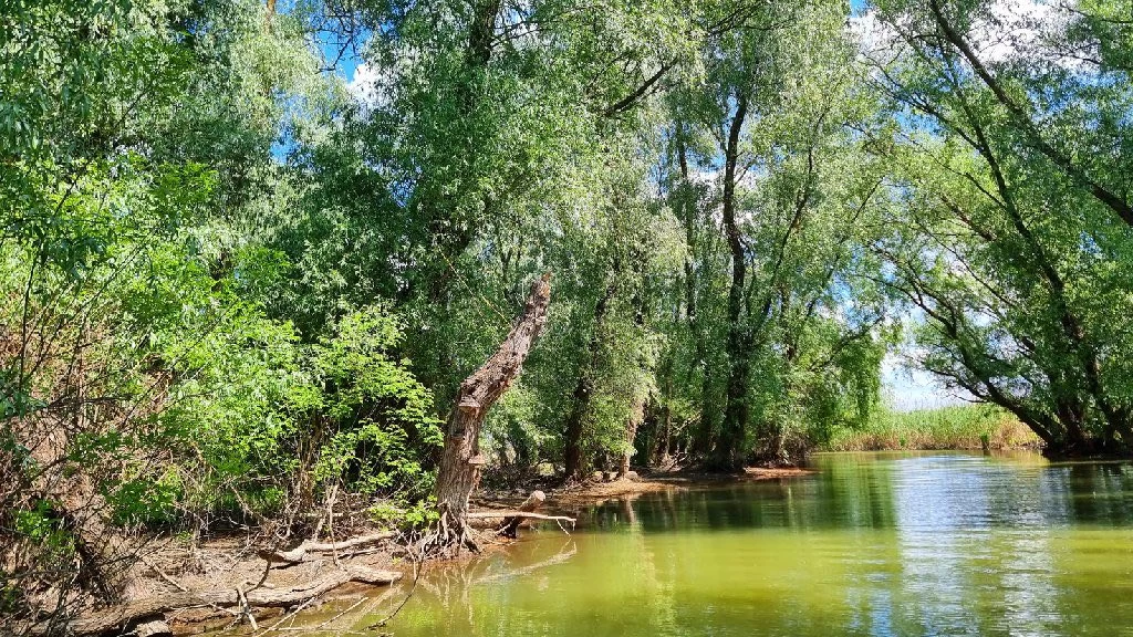 https://www.travlocals.com/uploads/0010/10216/2025/05/29/500086475-1176125427646567-7367610043888878273-n.webp