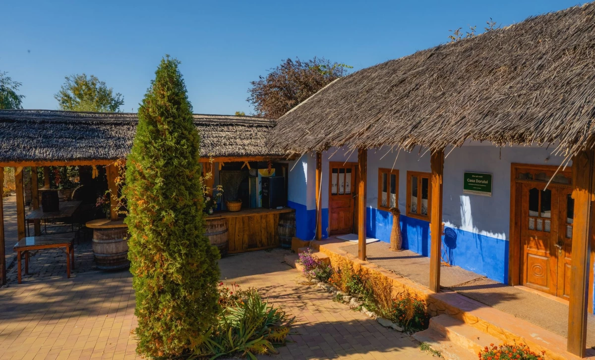 https://www.travlocals.com/uploads/0010/10239/2025/06/09/316883360-658911925897028-7658591299672302034-n-1.webp