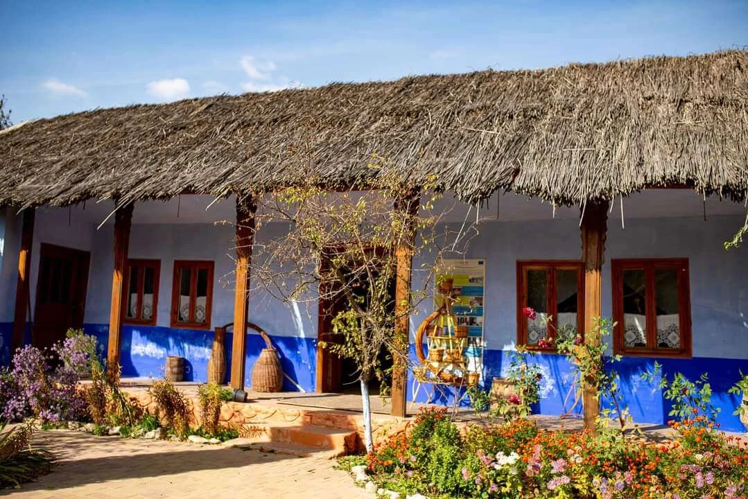 https://www.travlocals.com/uploads/0010/10239/2025/06/09/fb-img-1633816789614.webp