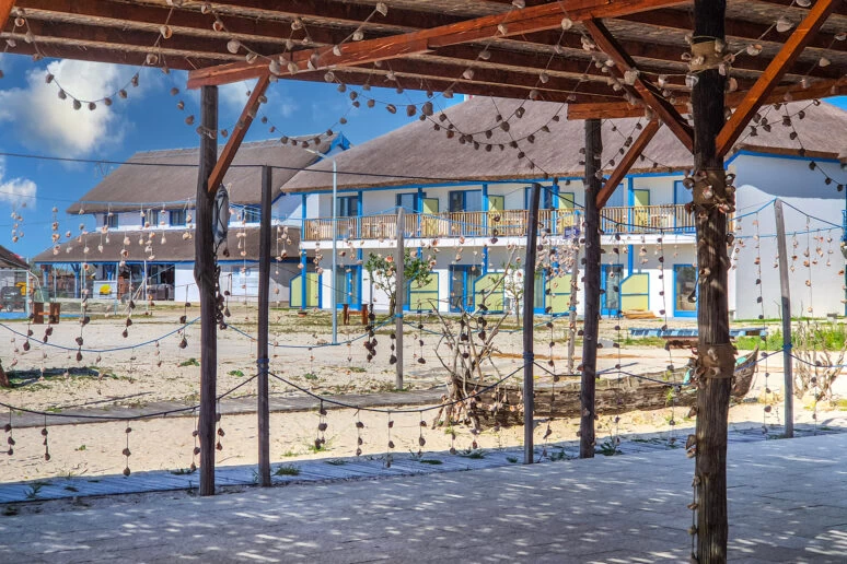 https://www.travlocals.com/uploads/0010/10254/2025/06/17/beach-bar-small-774x580x0x32x774x516x1746697385.webp