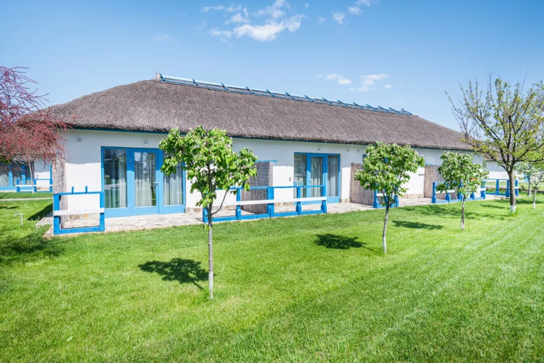 https://www.travlocals.com/uploads/0010/10254/2025/06/17/dsc-2359-small-774x516x0x0x774x516x1746694605.webp