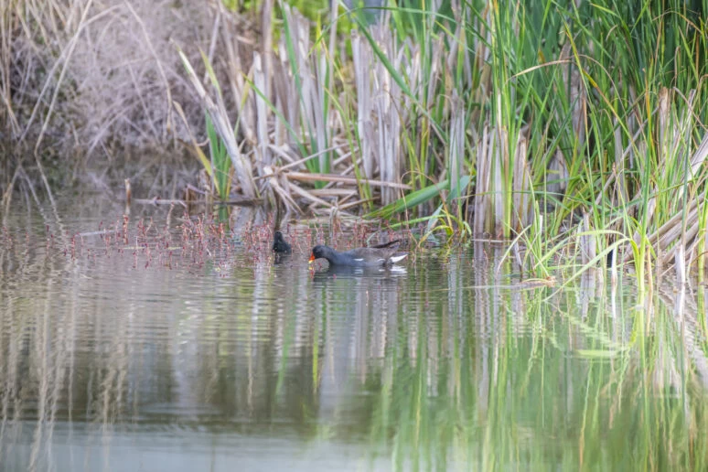https://www.travlocals.com/uploads/0010/10254/2025/06/17/dsc3328-774x516x0x0x774x516x1749040454.webp