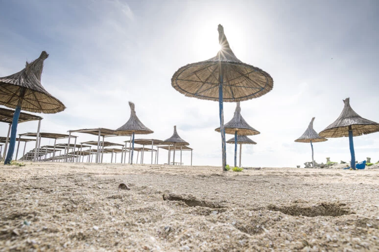 https://www.travlocals.com/uploads/0010/10254/2025/06/17/dsc3480-774x516x0x0x774x516x1749046142.webp