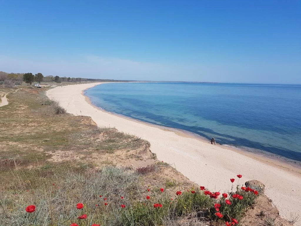 https://www.travlocals.com/uploads/0010/10256/2025/06/19/263547433.webp