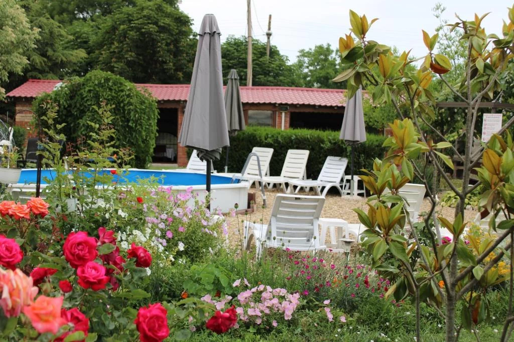 https://www.travlocals.com/uploads/0010/10256/2025/06/19/470868198.webp