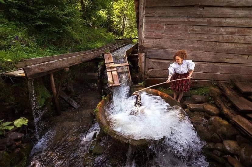 https://www.travlocals.com/uploads/0010/10266/2025/06/23/201365126-2933078463574506-3736575714006907244-n.webp