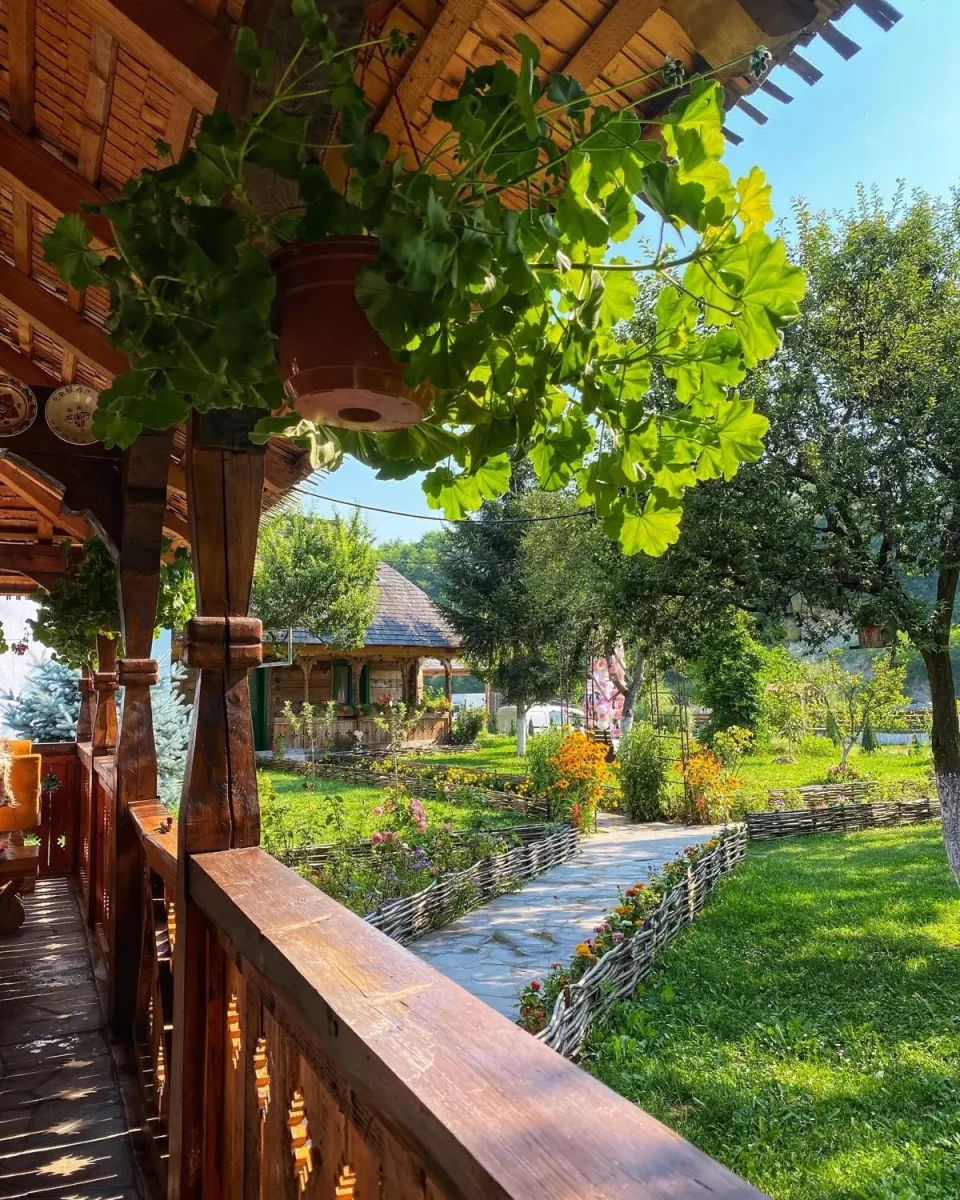https://www.travlocals.com/uploads/0010/10266/2025/06/23/480876625-949778023994328-3567105549913016147-n.webp