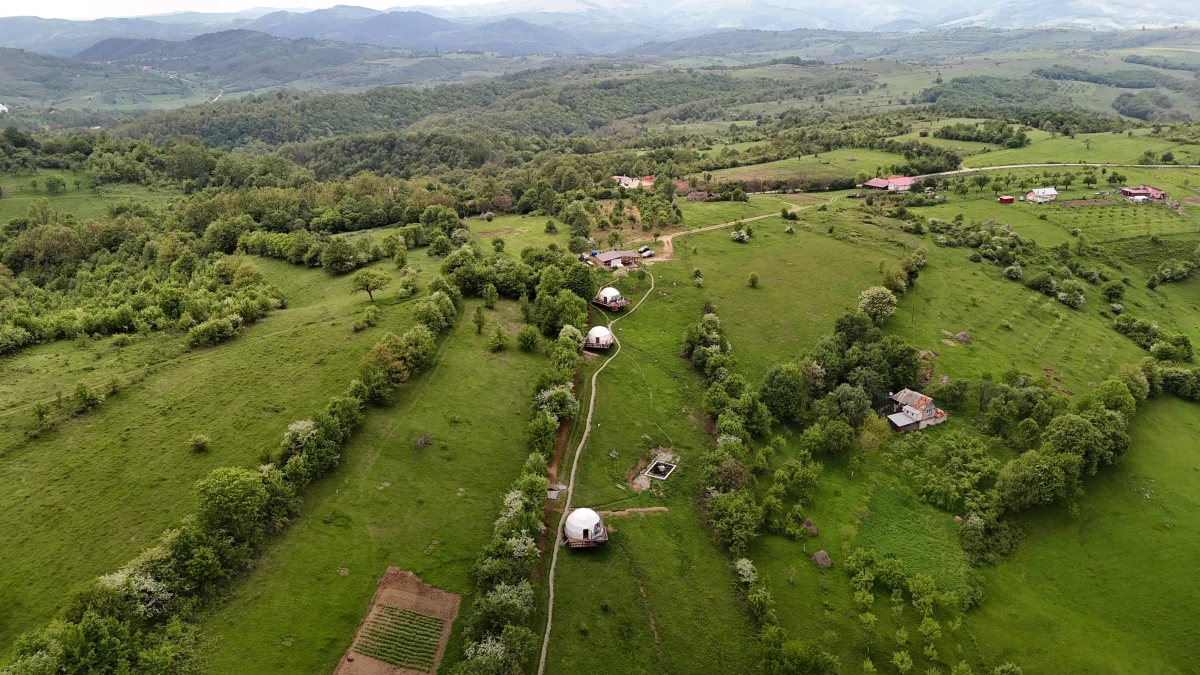 https://www.travlocals.com/uploads/0010/10313/2025/07/18/0216fb52-2a7c-483c-9731-b1ccdd9b9215.webp